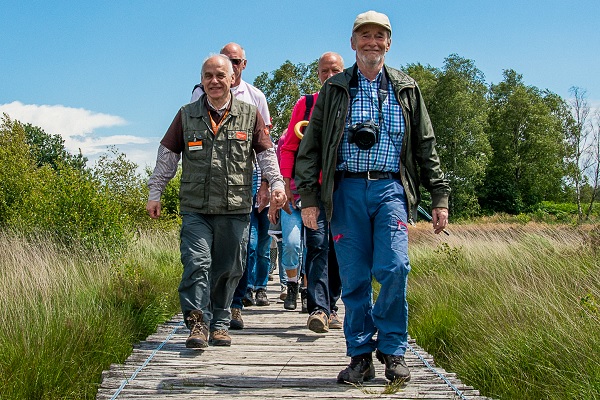 Gids leidt een groep mensen over het vlonderpad in De Groote Peel