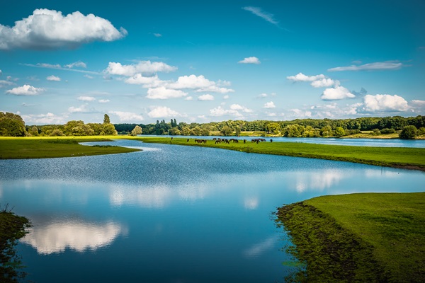 Die Baggerlöcher in der Tasbeek in Kessel