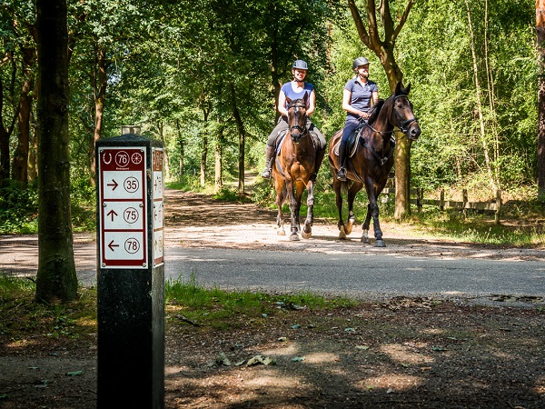 Ruiters buiten rijden