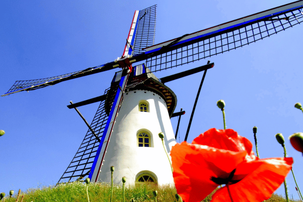 Radtour: Spargel und Mühlen