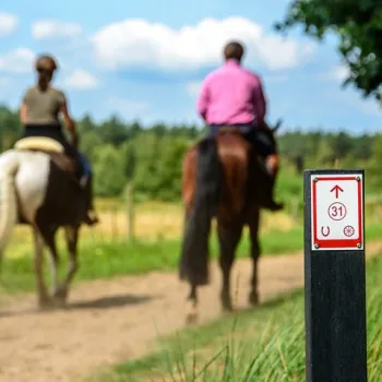 Twee ruiters op een zandpad in Limburg, met op de voorgrond een routepaaltje van het ruiterknooppuntensysteem dat deel uitmaakt van de ruiterroutes in de regio.